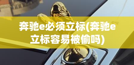 奔驰e必须立标(奔驰e立标容易被偷吗)