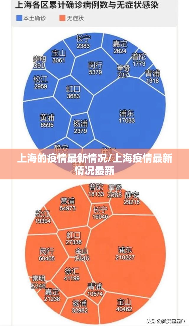 上海的疫情最新情况/上海疫情最新情况最新
