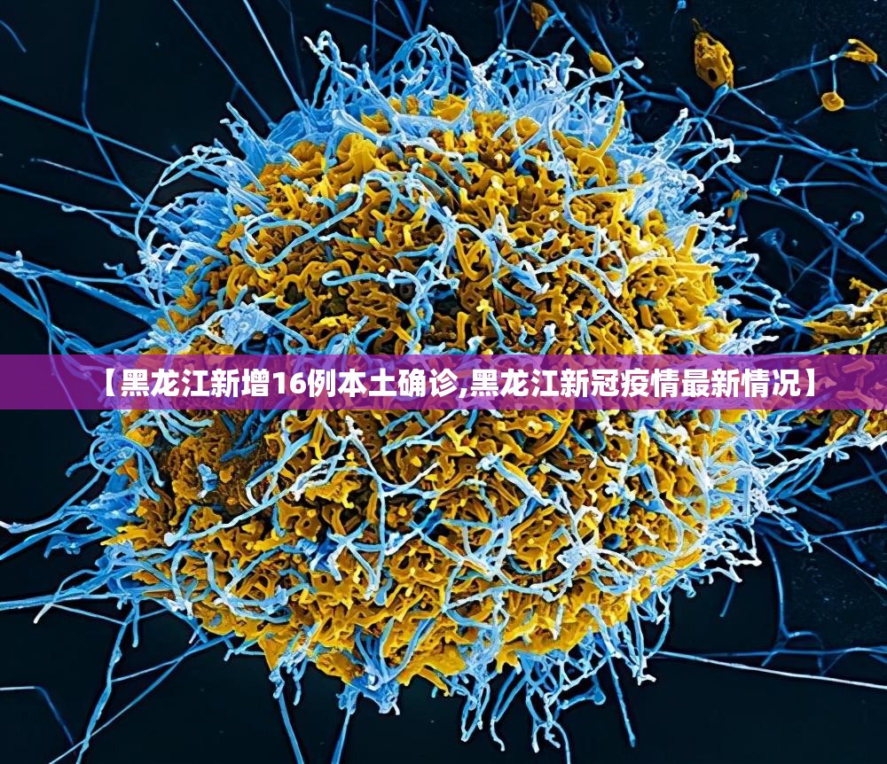 【黑龙江新增16例本土确诊,黑龙江新冠疫情最新情况】 【黑龙江新增16例本土确诊,黑龙江新冠疫情最新情况】