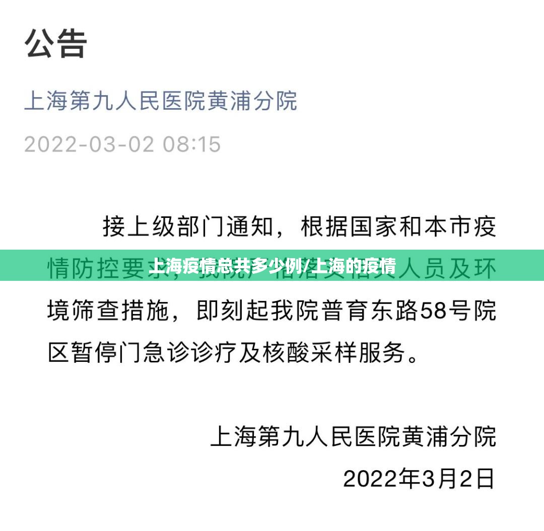 上海疫情总共多少例/上海的疫情