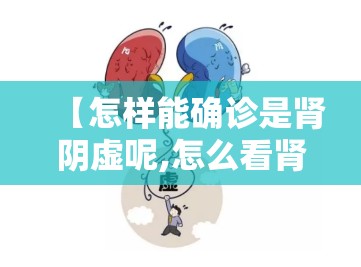 【怎样能确诊是肾阴虚呢,怎么看肾阴虚还是肾阳虚】