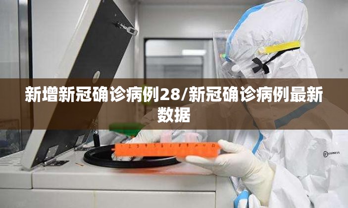 新增新冠确诊病例28/新冠确诊病例最新数据 新增新冠确诊病例28/新冠确诊病例最新数据
