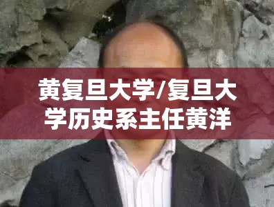 黄复旦大学/复旦大学历史系主任黄洋 黄复旦大学/复旦大学历史系主任黄洋