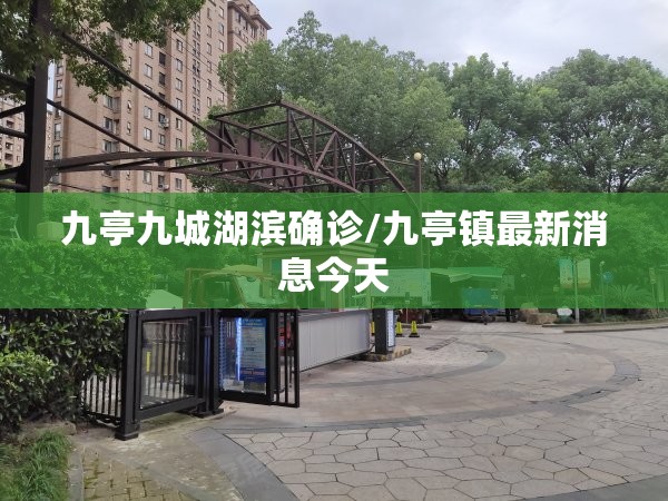 九亭九城湖滨确诊/九亭镇最新消息今天 九亭九城湖滨确诊/九亭镇最新消息今天