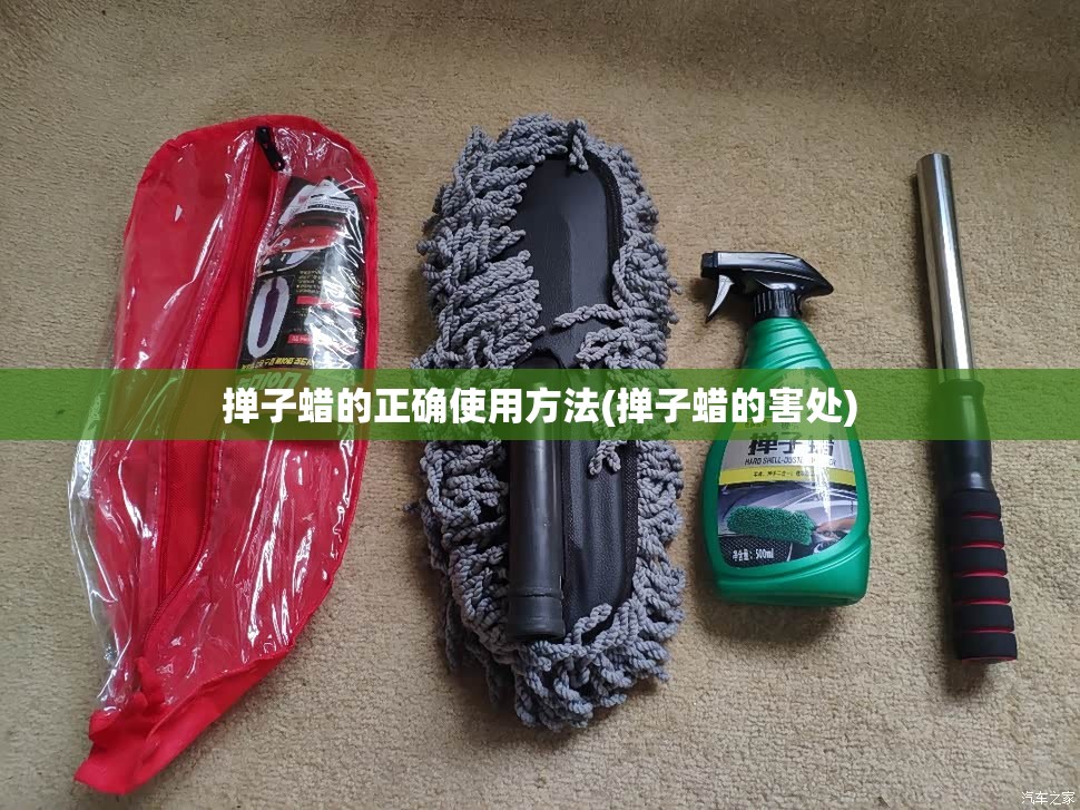 掸子蜡的正确使用方法(掸子蜡的害处)