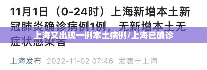 上海又出现一例本土病例/上海已确诊