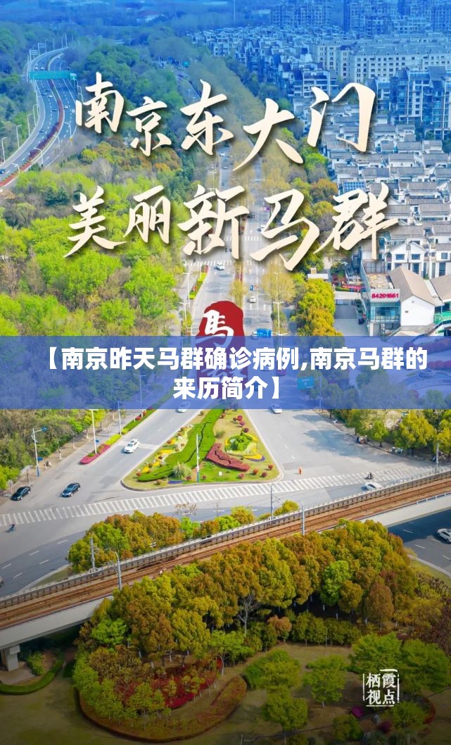 【南京昨天马群确诊病例,南京马群的来历简介】 【南京昨天马群确诊病例,南京马群的来历简介】