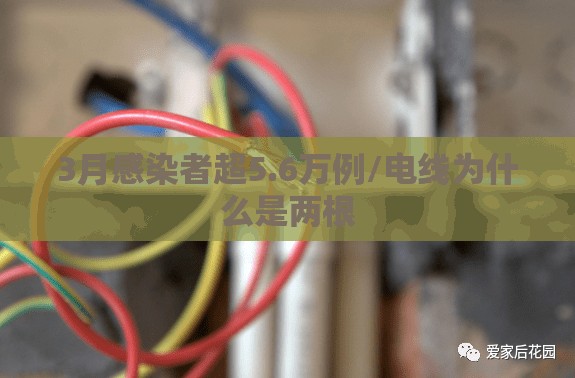 3月感染者超5.6万例/电线为什么是两根 3月感染者超5.6万例/电线为什么是两根