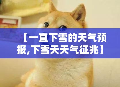 【一直下雪的天气预报,下雪天天气征兆】