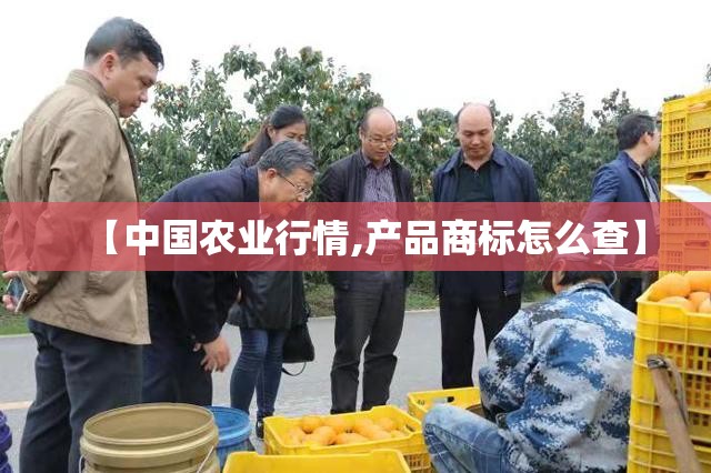 【中国农业行情,产品商标怎么查】 【中国农业行情,产品商标怎么查】