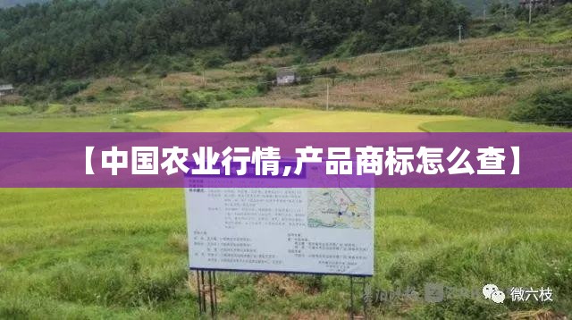 【中国农业行情,产品商标怎么查】 【中国农业行情,产品商标怎么查】