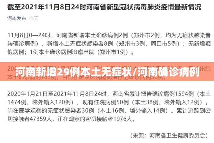 河南新增29例本土无症状/河南确诊病例