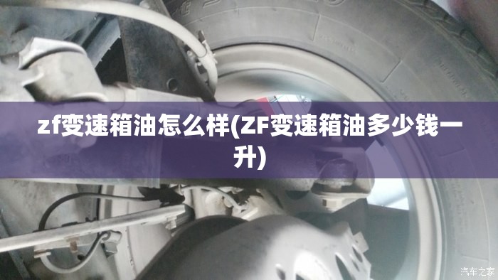 zf变速箱油怎么样(ZF变速箱油多少钱一升)