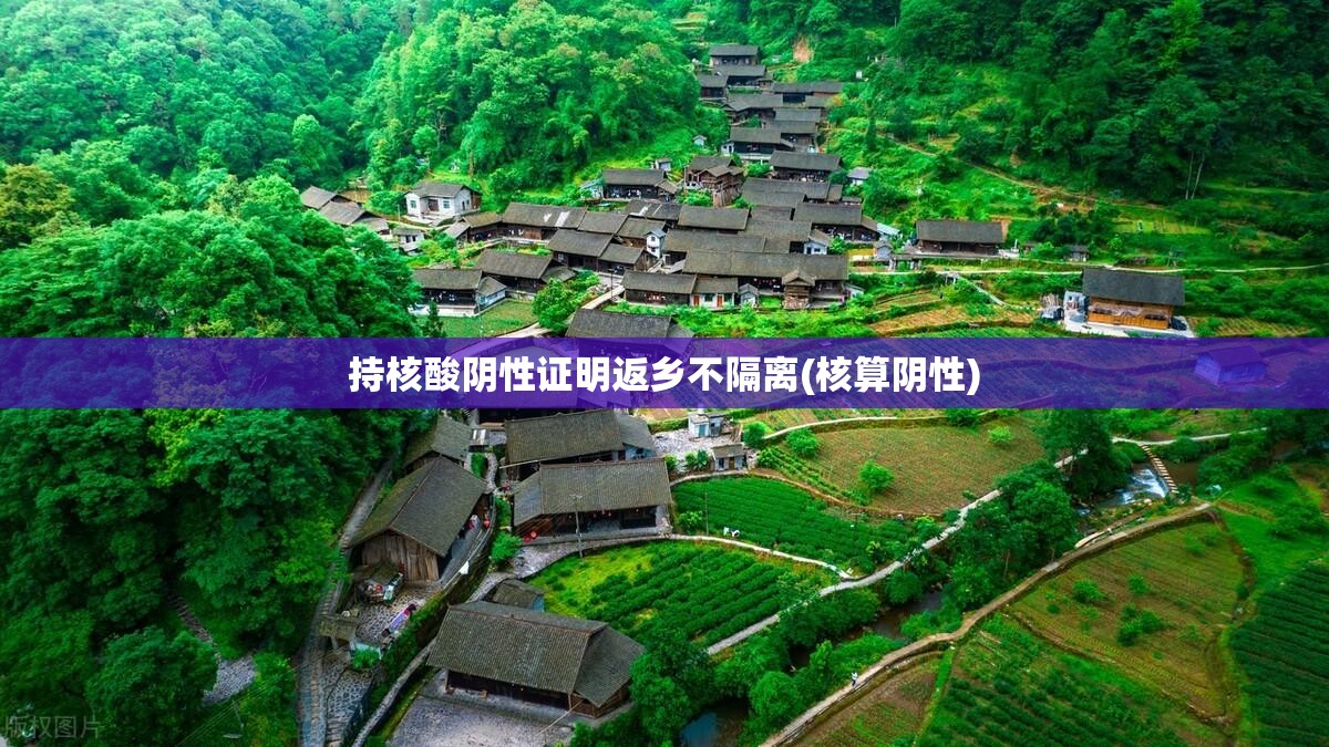 持核酸阴性证明返乡不隔离(核算阴性) 持核酸阴性证明返乡不隔离(核算阴性)