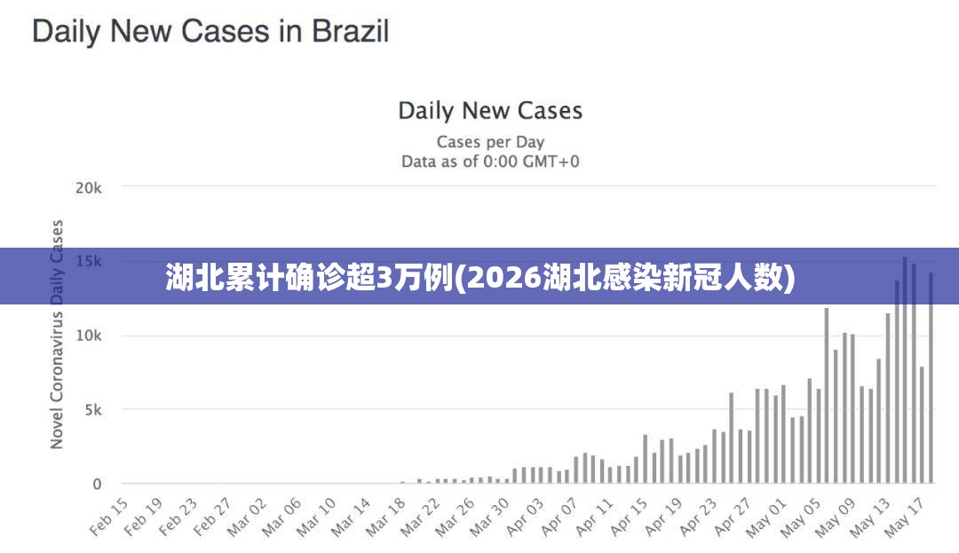湖北累计确诊超3万例(2026湖北感染新冠人数)