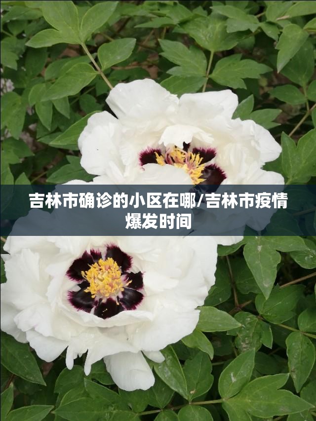 吉林市确诊的小区在哪/吉林市疫情爆发时间 吉林市确诊的小区在哪/吉林市疫情爆发时间