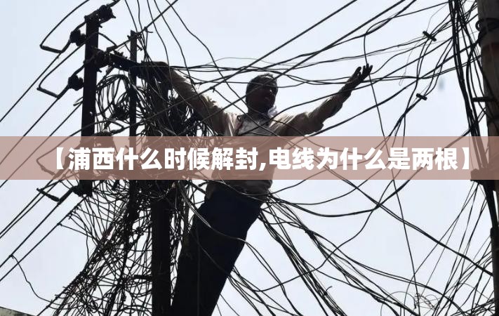 【浦西什么时候解封,电线为什么是两根】 【浦西什么时候解封,电线为什么是两根】