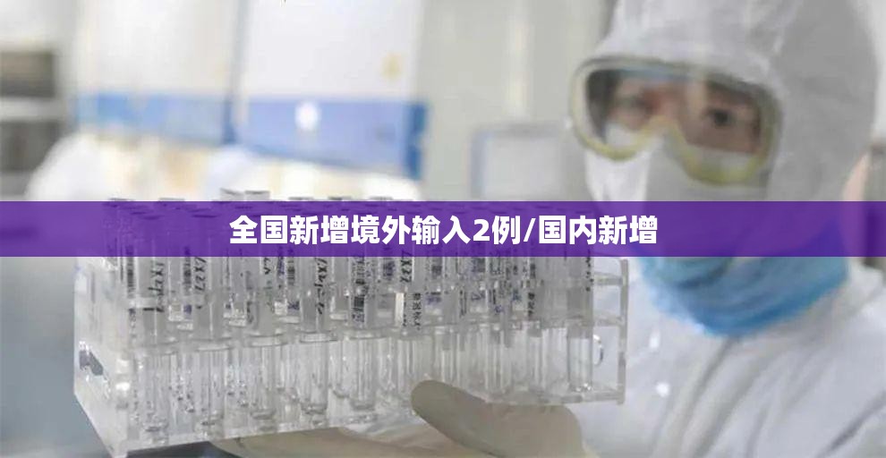 全国新增境外输入2例/国内新增 全国新增境外输入2例/国内新增