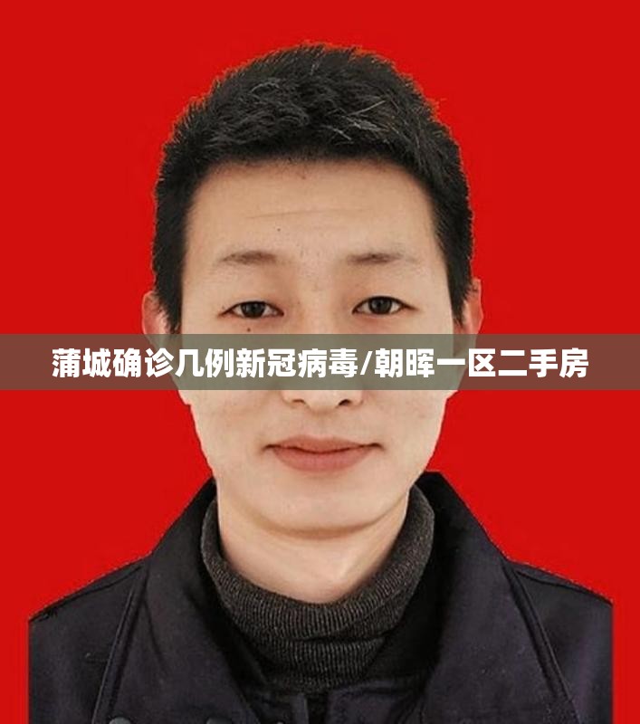 蒲城确诊几例新冠病毒/朝晖一区二手房