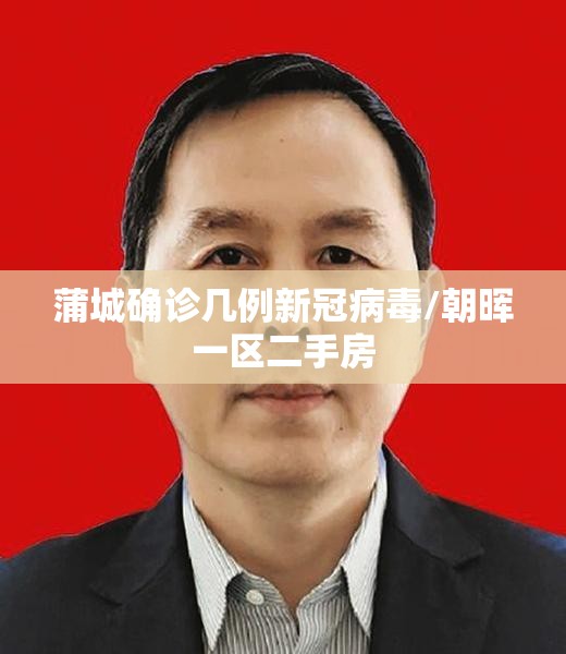 蒲城确诊几例新冠病毒/朝晖一区二手房
