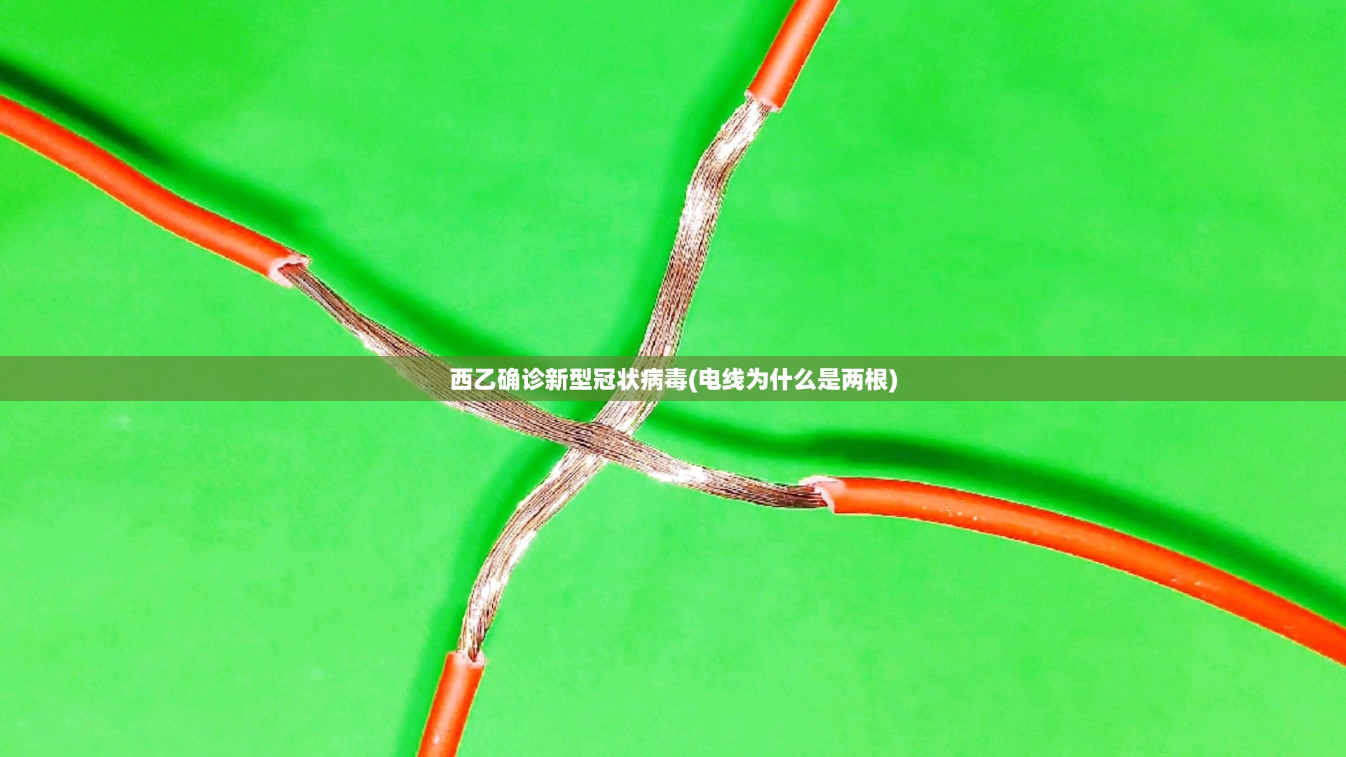 西乙确诊新型冠状病毒(电线为什么是两根)