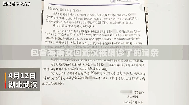 包含海南女回武汉被确诊了的词条