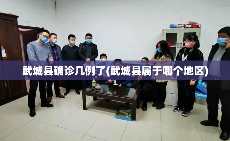 武城县确诊几例了(武城县属于哪个地区)