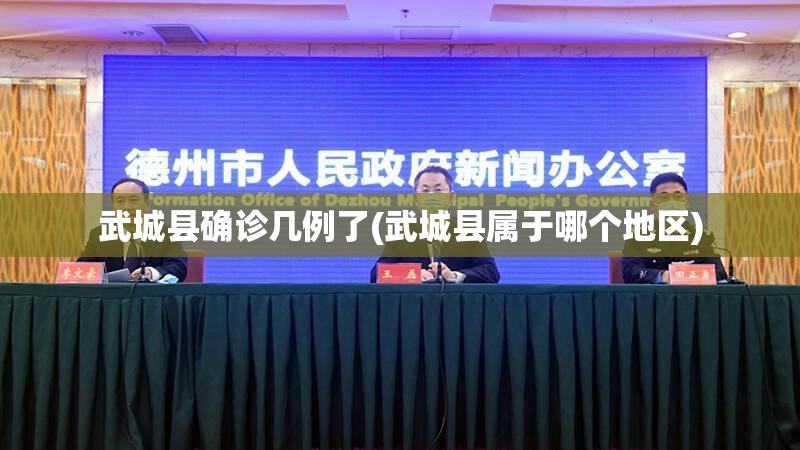 武城县确诊几例了(武城县属于哪个地区)