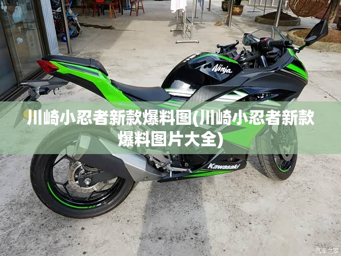 川崎小忍者新款爆料图(川崎小忍者新款爆料图片大全) 川崎小忍者新款爆料图(川崎小忍者新款爆料图片大全)