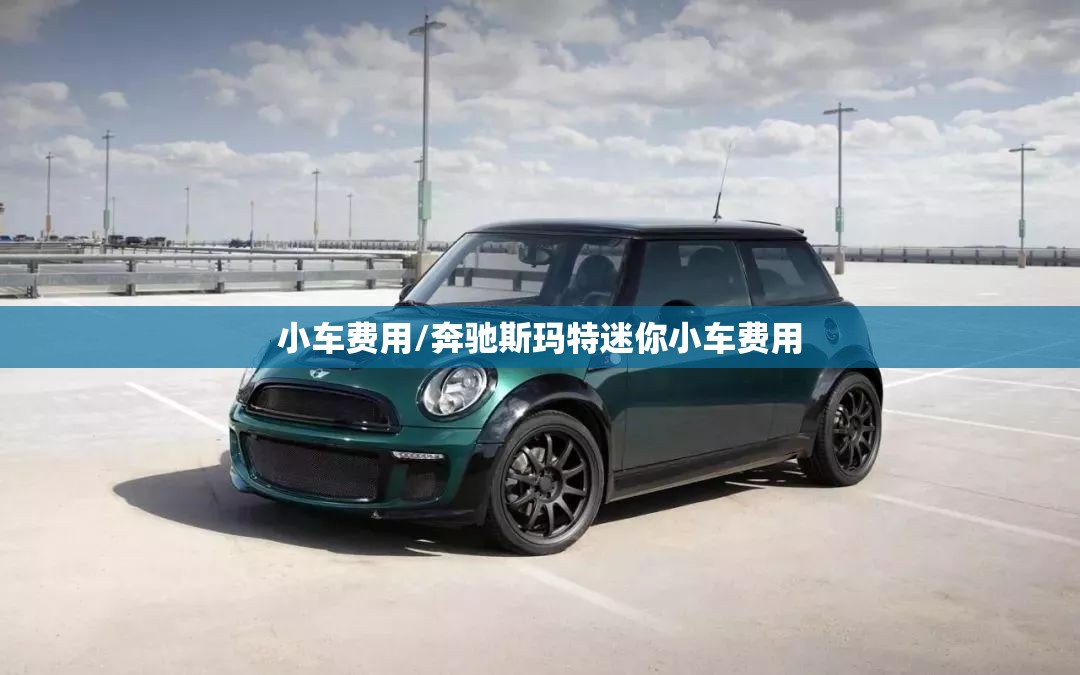 小车费用/奔驰斯玛特迷你小车费用 小车费用/奔驰斯玛特迷你小车费用
