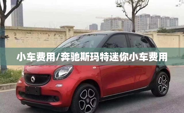 小车费用/奔驰斯玛特迷你小车费用 小车费用/奔驰斯玛特迷你小车费用