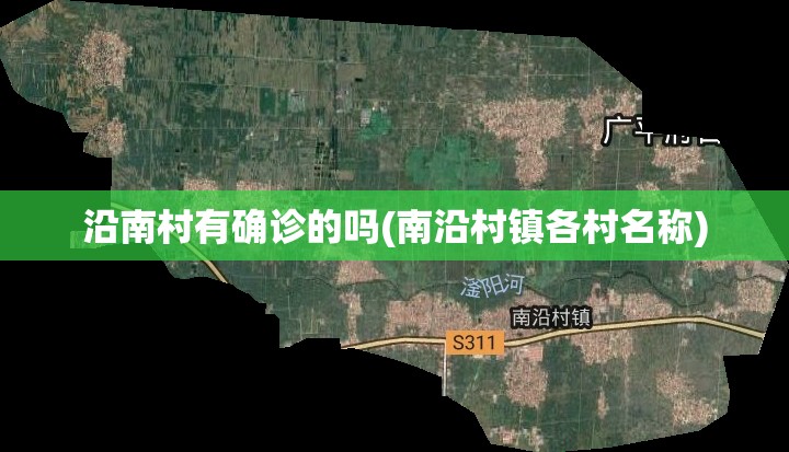 沿南村有确诊的吗(南沿村镇各村名称)