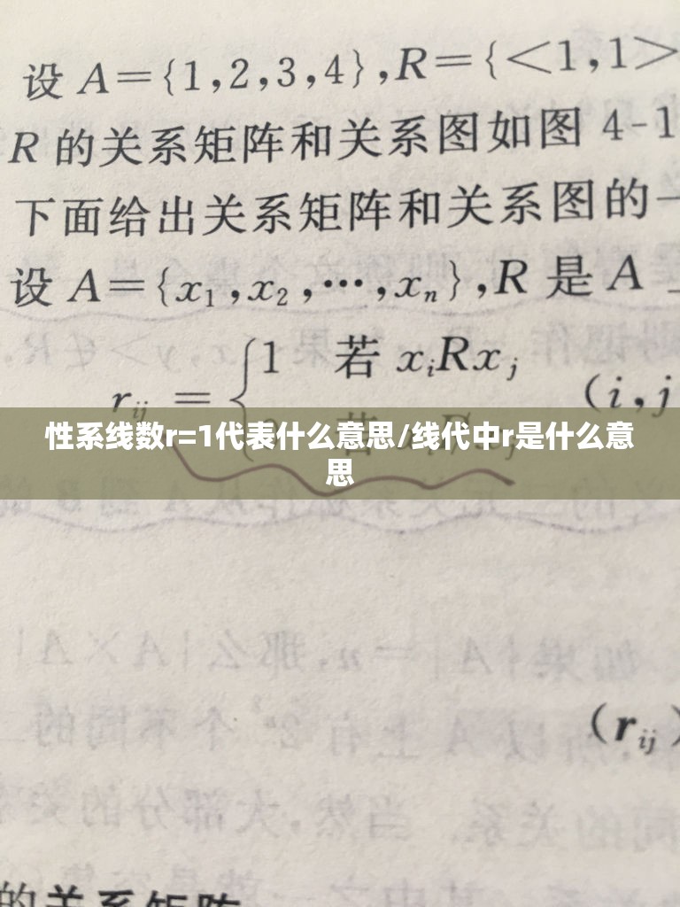 性系线数r=1代表什么意思/线代中r是什么意思