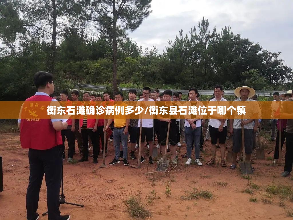 衡东石滩确诊病例多少/衡东县石滩位于哪个镇