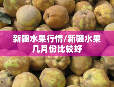 新疆水果行情/新疆水果几月份比较好