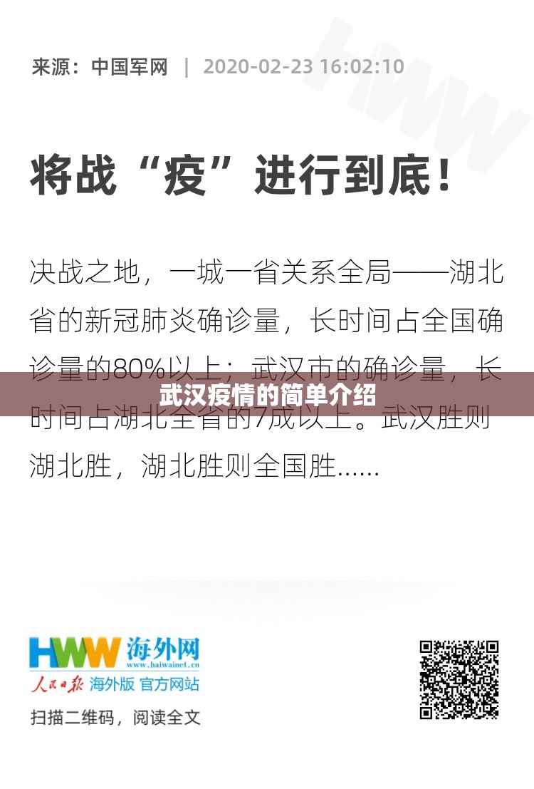 武汉疫情的简单介绍