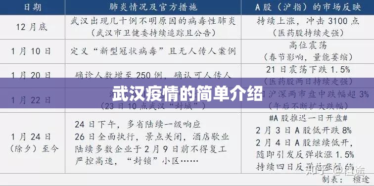 武汉疫情的简单介绍