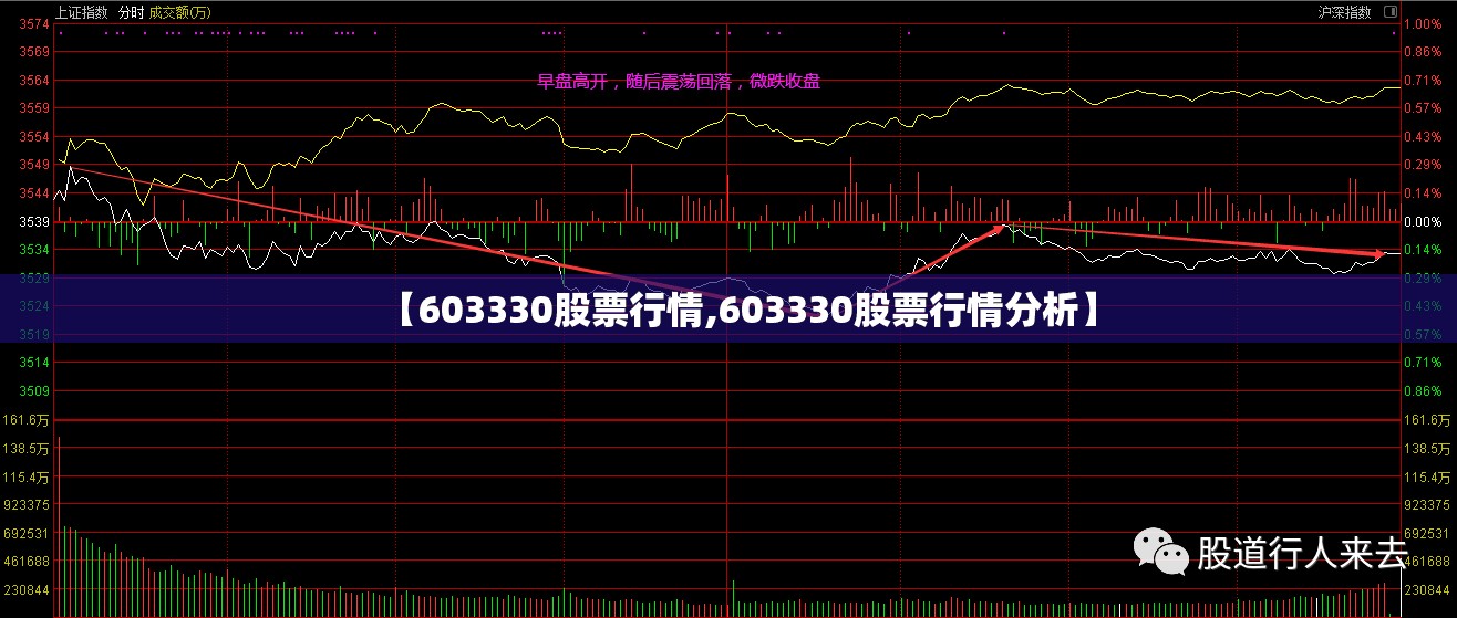 【603330股票行情,603330股票行情分析】