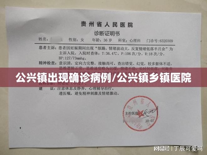 公兴镇出现确诊病例/公兴镇乡镇医院 公兴镇出现确诊病例/公兴镇乡镇医院