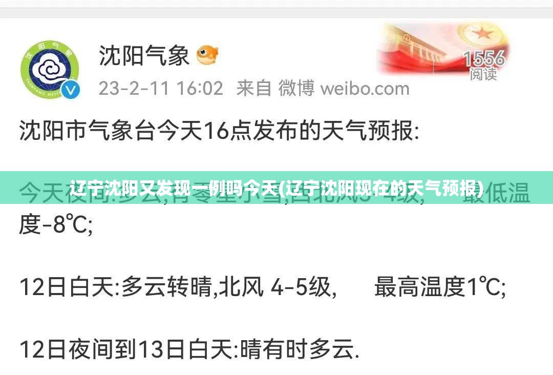 辽宁沈阳又发现一例吗今天(辽宁沈阳现在的天气预报) 辽宁沈阳又发现一例吗今天(辽宁沈阳现在的天气预报)