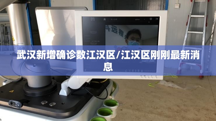 武汉新增确诊数江汉区/江汉区刚刚最新消息 武汉新增确诊数江汉区/江汉区刚刚最新消息