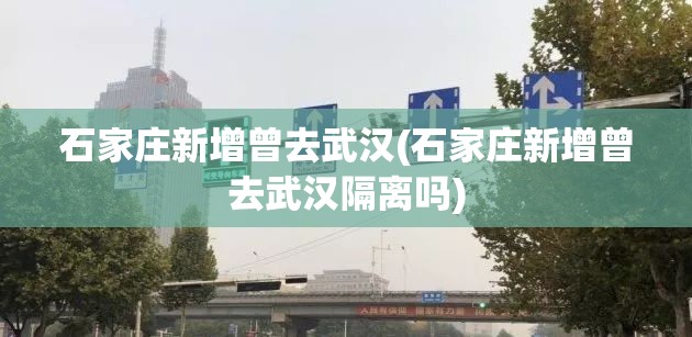 石家庄新增曾去武汉(石家庄新增曾去武汉隔离吗)