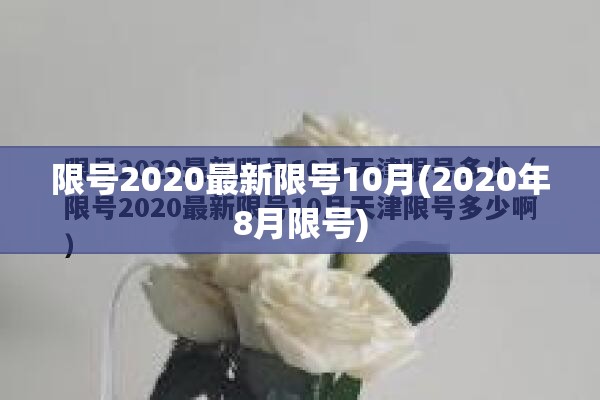 限号2020最新限号10月(2020年8月限号)