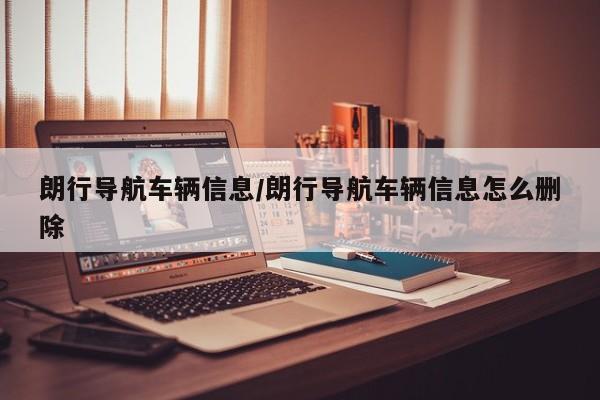 朗行导航车辆信息/朗行导航车辆信息怎么删除