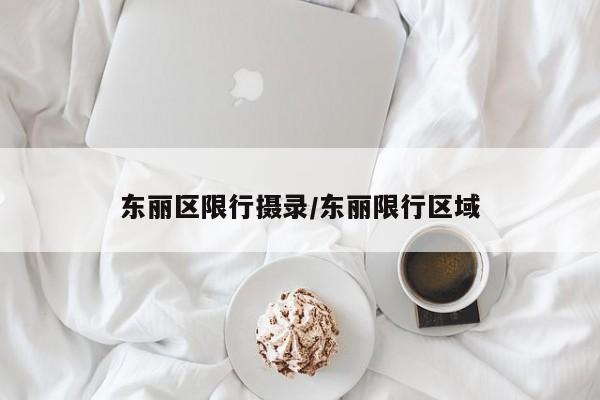 东丽区限行摄录/东丽限行区域