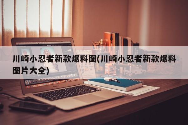 川崎小忍者新款爆料图(川崎小忍者新款爆料图片大全)